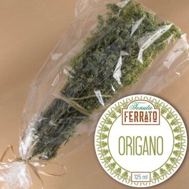 Origano